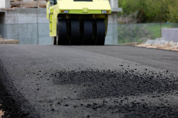 Best Professional Driveway Pavers  in Princeton, MO
